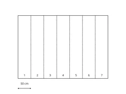 Komar Tapetenmuster|Fototapeten^Fototapete Mindfulness Grün 350 x 250 cm 611636