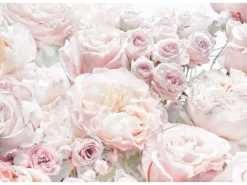 Komar Fototapete Spring Roses Hellrosa 368 x 254 cm 611041