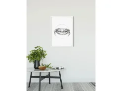 Komar Poster^Wandbild Crab White 50 x 70 cm
