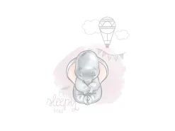 Komar Wandbild Dumbo Sleepy 30 cm x 40 cm