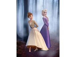 Komar Bilder|Poster^Wandbild Frozen Wood Walk 50 x 70 cm