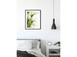 Komar Poster^Wandbild Reed Leaves 40 x 50 cm
