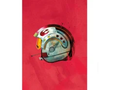 Komar Wandbild Star Wars Pilot 30 x 40 cm