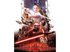 Komar Wandbild Star Wars Rey 30 x 40 cm