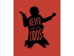Komar Poster^Wandbild Star Wars Han Solo 40 x 50 cm gerollt