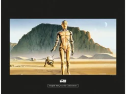 Komar Poster^Wandbild Star Wars Droids 50 x 40 cm