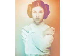 Komar Poster^Wandbild Star Wars Leia 40 x 50 cm