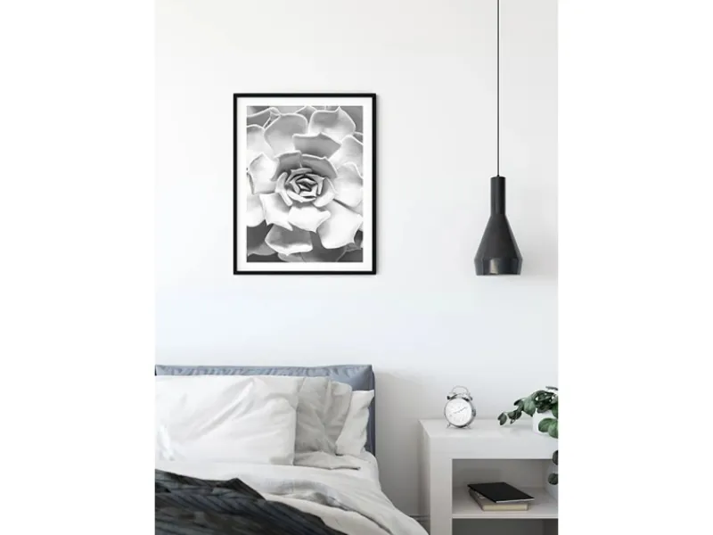 Komar Wandbild Succulent Closeup 40 x 50 cm