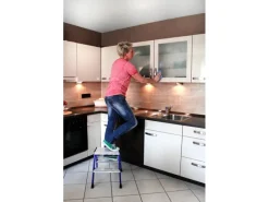 Krause Klapptritt Rolly Fahrbar 2 x 2 Stufen 45 cm x 40 cm x 50 cm