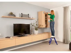 Krause Klapptritt Rolly Fahrbar 2 x 2 Stufen 45 cm x 40 cm x 50 cm