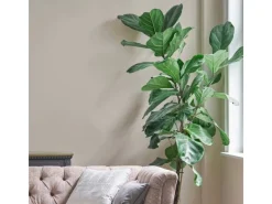 Laura Ashley Wandfarbe Soft Natural Beige 2,5 l