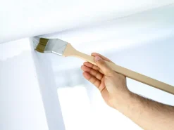 LUX-TOOLS LUX Eckenpinsel Dispersion 50 mm