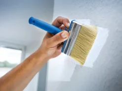 LUX-TOOLS Außen-Fassadenfarben^LUX Flächenstreicher Dispersion 100 mm