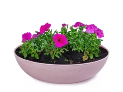 Vogeltränken^matches21 HOME&HOBBY Pflanzschale für Draussen in Alt-Rosa Marmoriert 30 x 9 cm