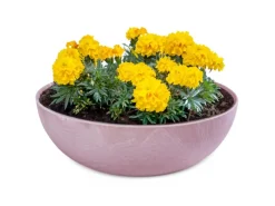 Vogeltränken^matches21 HOME&HOBBY Pflanzschale für Draussen in Alt-Rosa Marmoriert 25 x 9 cm