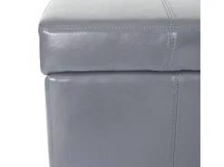 MCW Aufbewahrungs-Truhe Kriens Leder Und Kunstleder 112x45x45cm