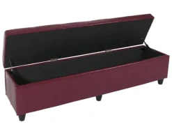 MCW Aufbewahrungs-Truhe Kriens XXL