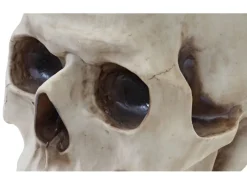 MCW Tische^Beistelltisch Totenkopf A19