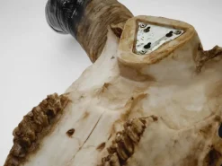 MCW Dekorative Figuren^Deko Schädel 132cm A14 Stier Naturfarben