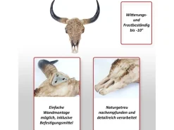 MCW Dekorative Figuren^Deko Schädel Longhorn