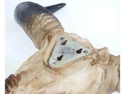 MCW Dekorative Figuren^Deko Schädel Longhorn