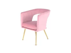 Stühle^MeGusta Moderner Stuhl Polsterstuhl Esszimmerstuhl mit Armlehne Amelie