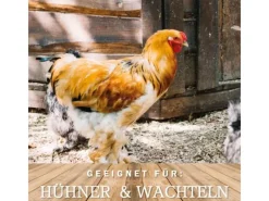 MeineHennen Kleintierbedarf^KÖRNER VITAL EXZELLENT Plus 15 Kg Premium Hühnerfutter Wachtelfutter Körnerfutter Geflügelfutter und Hennenfutter Alleinfutter