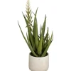 Mica Decorations Kunstpflanzen^Aloe Vera Grün Höhe 58 cm Ø 38 cm