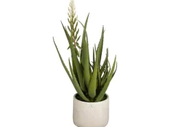 Mica Decorations Kunstpflanzen^Aloe Vera Grün Höhe 58 cm Ø 38 cm