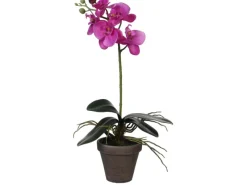 Mica Decorations Kunstpflanzen^Kunstpflanze Phalaenopsis im Topf Ø 13 cm x 48 cm