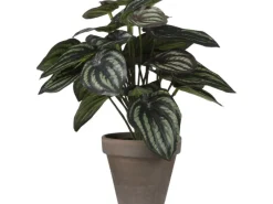 Mica Decorations Kunstpflanze Peperomia Blumentopf Stan Ø 23 x 24 cm