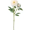 Mica Decorations Kunstpflanzen^Peonie Lachs 58 cm