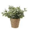 MICA Kunstpflanze Eucalyptus in Topf 20 cm x Ø 15 cm Grün