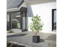 ML-Design Kunstpflanzen^Künstliche Eukalyptus 150cm Groß Kunstpflanze Naturholzstamm