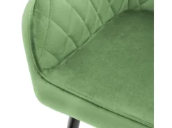 ML-Design Set 2 Esszimmerstühle mit Armlehne und Rückenlehne Salbei Samtbezug