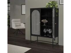 ML-Design Vitrinenschrank 85x120x40 cm Schwarz Metallschrank aus Stahl