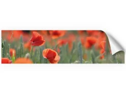 Myspotti Küchenrückwandfolie Mohn Selbstklebend 220 cm x 60 cm