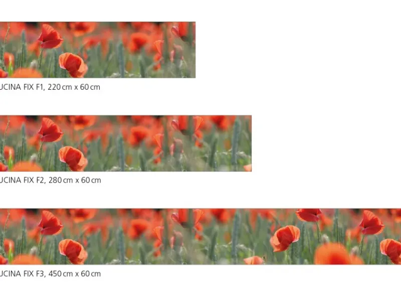 Myspotti Küchenrückwandfolie Mohn Selbstklebend 220 cm x 60 cm