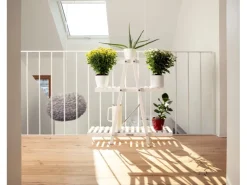 needs&wants Vasen^Pflanzenregal Bloomy1