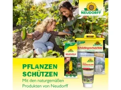 Neudorff Insektenschutz^Raupen- und Ameisen-Leimring 3 m