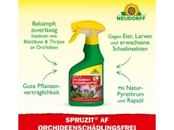 Neudorff Spruzit AF Orchideen Schädlingsfrei 250 ml