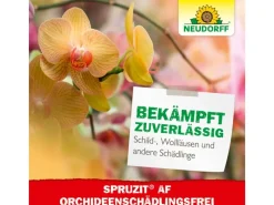 Neudorff Spruzit AF Orchideen Schädlingsfrei 250 ml