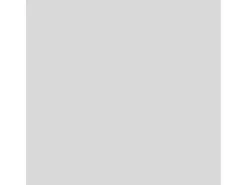 OBI Buntlack Spray LH seidenmatt 400 ml