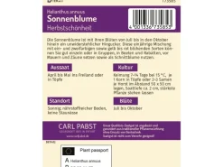 Pabst Keimkraft Sonnenblume Herbstschönheit Saatgut