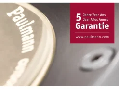 Paulmann Laterne Classic Plug & Shine Zigbee 3.0 IP44 RGBW+ 2 W Anthrazit