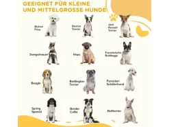 PawHut Hundebedarf^Absperrgitter Verstellbar Klappbar 155 x 1 5 x 76 cm