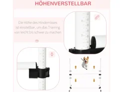 PawHut Agility Hürdenset