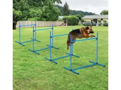 PawHut Agility Hürdenset Slalom Stangen