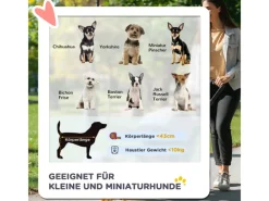 PawHut Kleintierbedarf^Hundebuggy für Kleine Hunde und Katzen Klappbar
