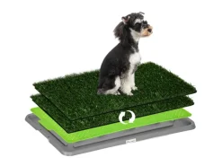 PawHut Hundebedarf^Hundetoilette mit 2 Grasmatten für Töpfchentraining Welpen